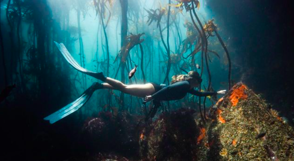 Cape Town Freediving