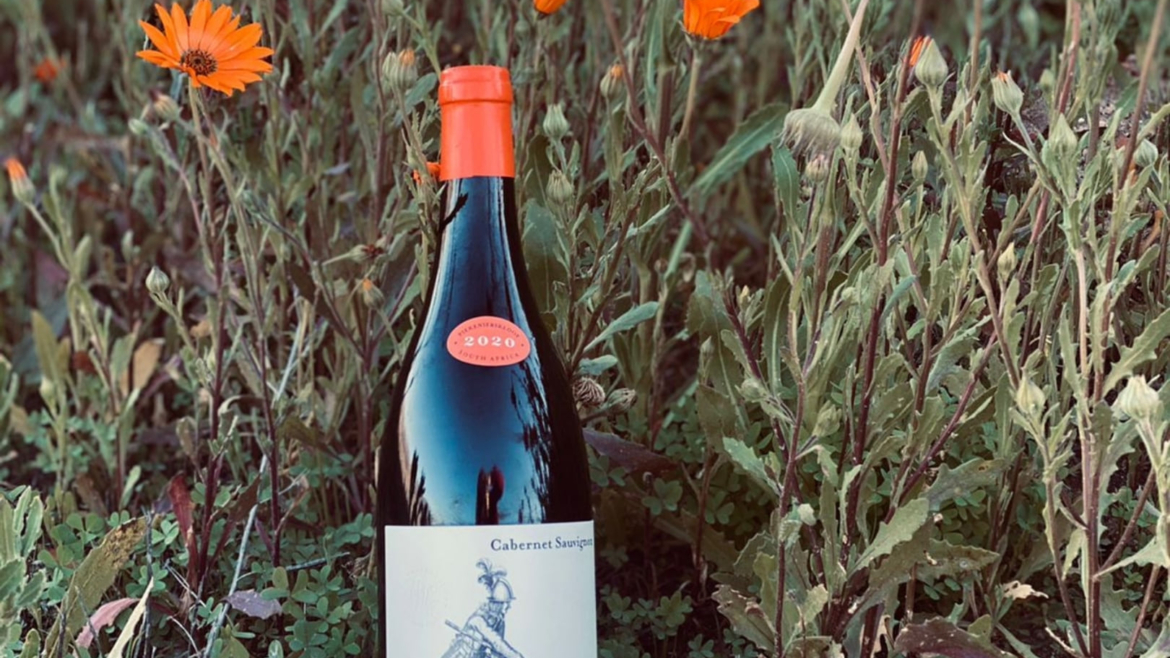 Piekenierskloof Wines