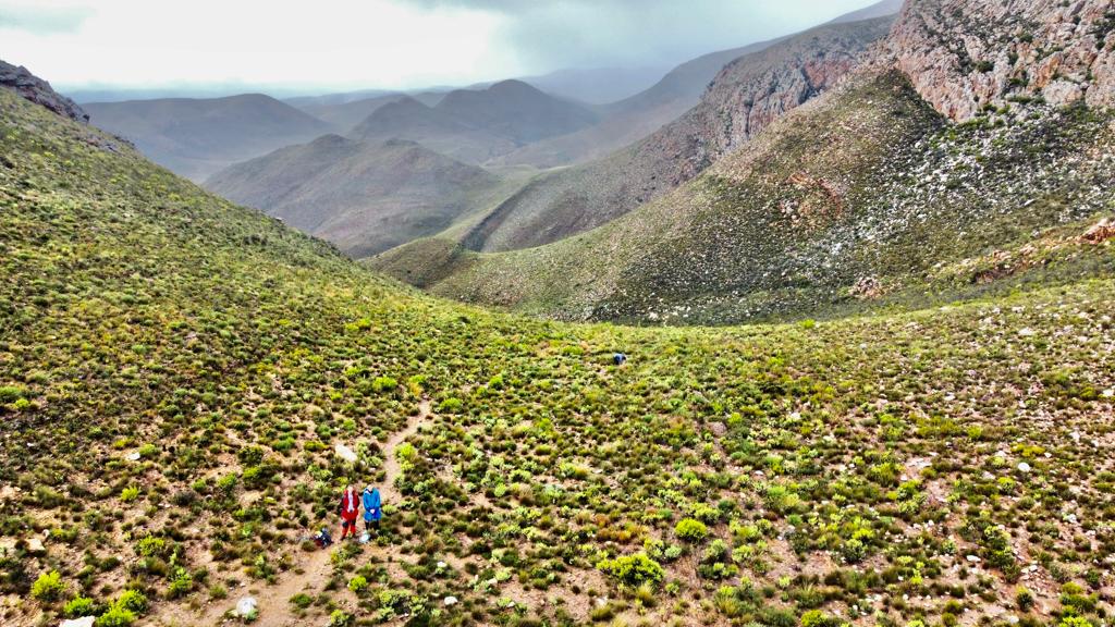 The Leopard Trail