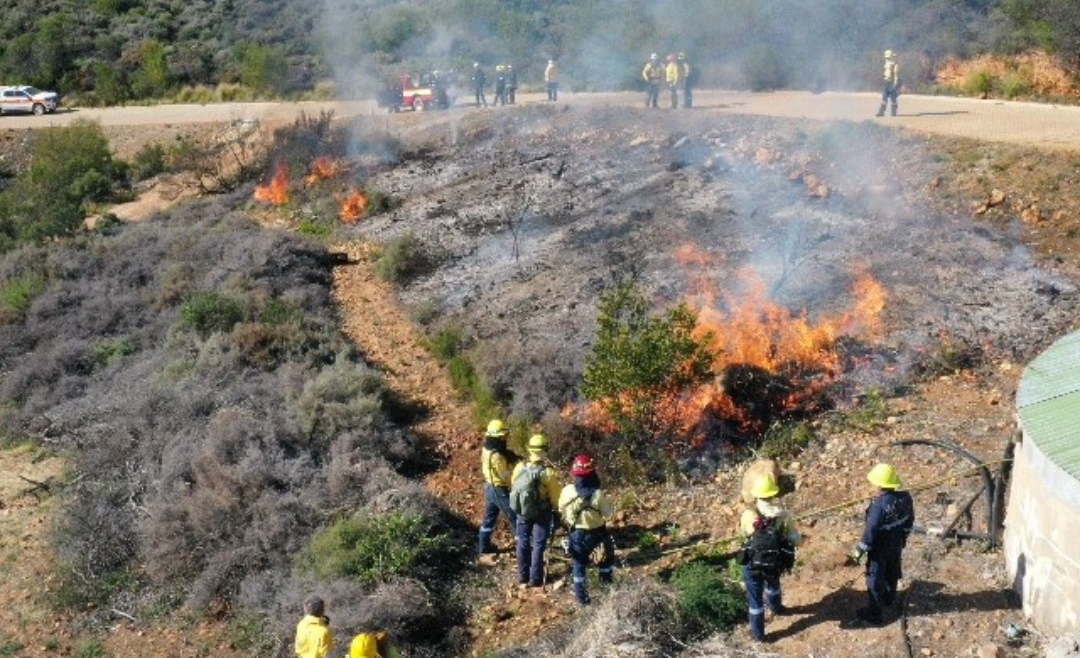 Volunteer Wildfire Services