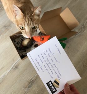 BOXIE for Pets – Curated Gifts
