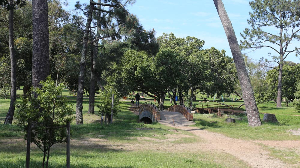 Keurboom Park