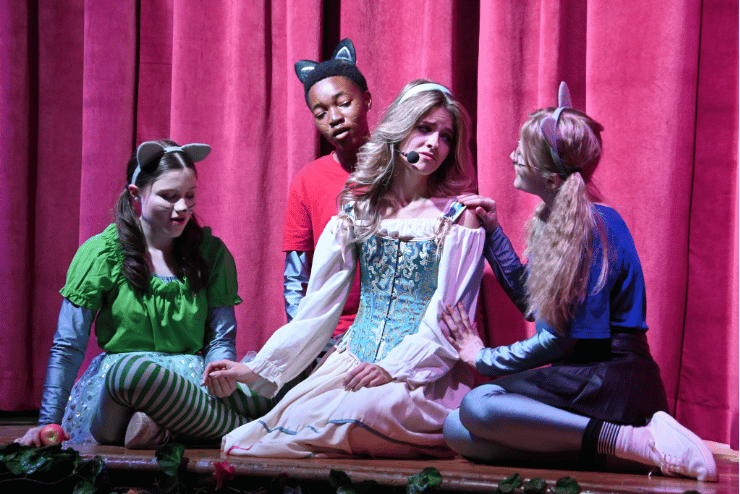 Pretoria Youth Theatre: Cinderella