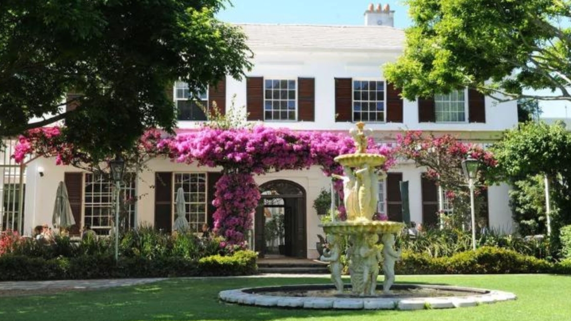 High Tea at the Vineyard