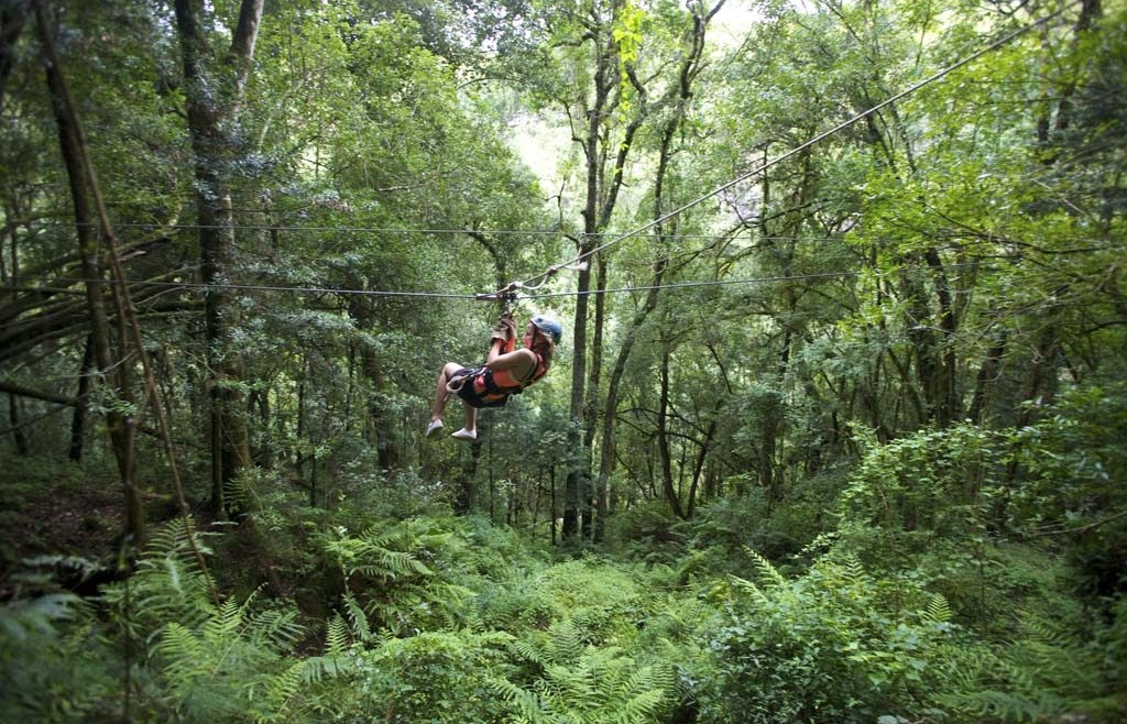 Drakensberg Canopy Tour