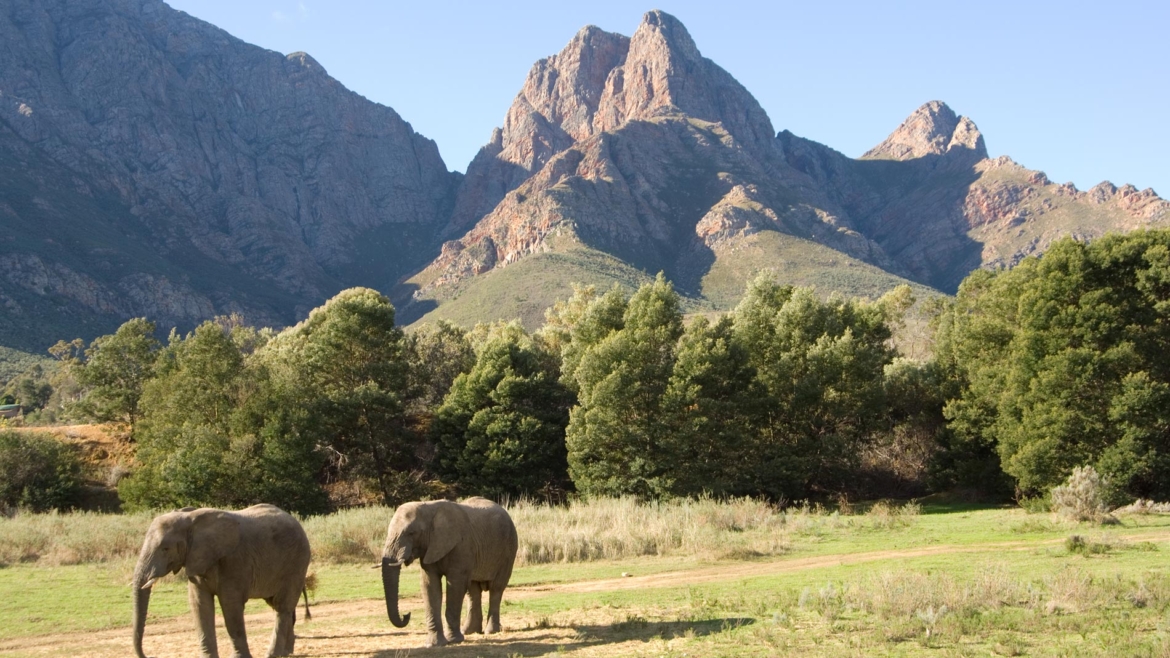 Fairy Glen Game Reserve