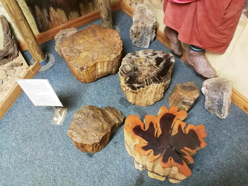 Forest Industry Museum