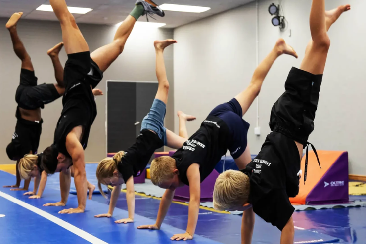 Gym Wizards
