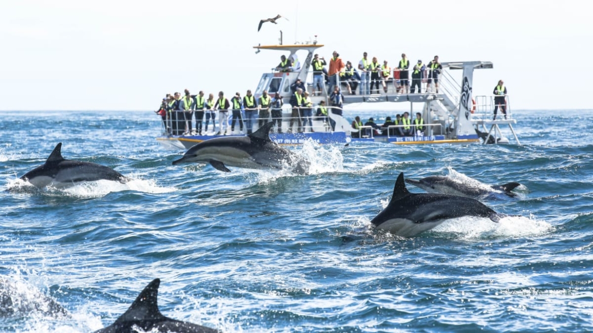 Marine Big 5 Trip
