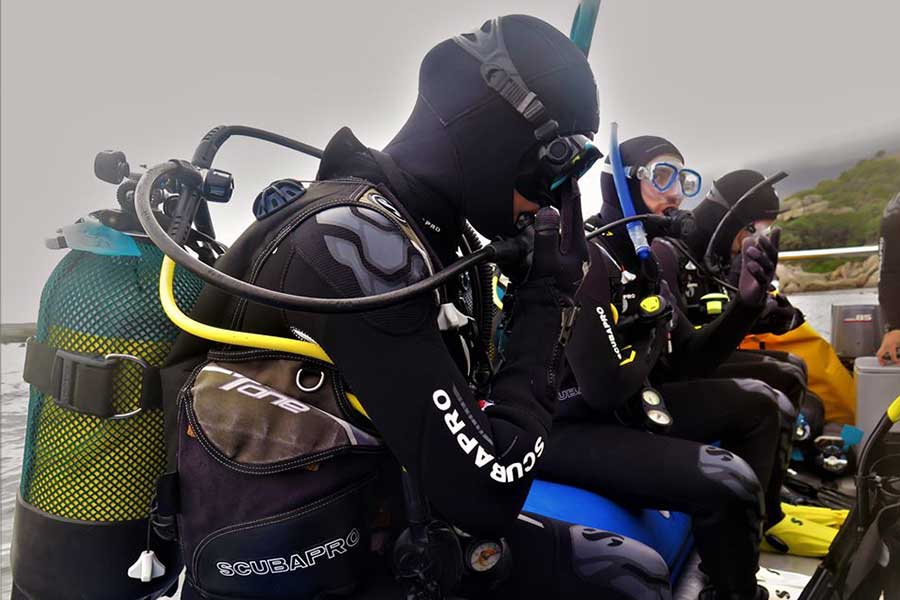 Into The Blue