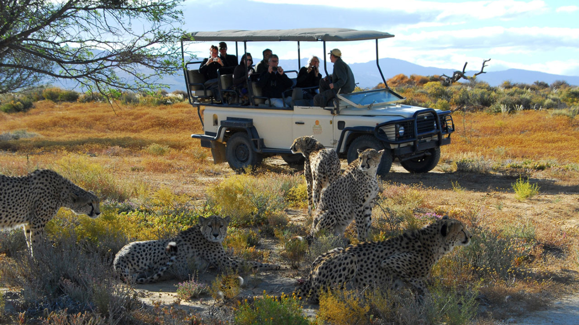 Inverdoorn Private Game Reserve