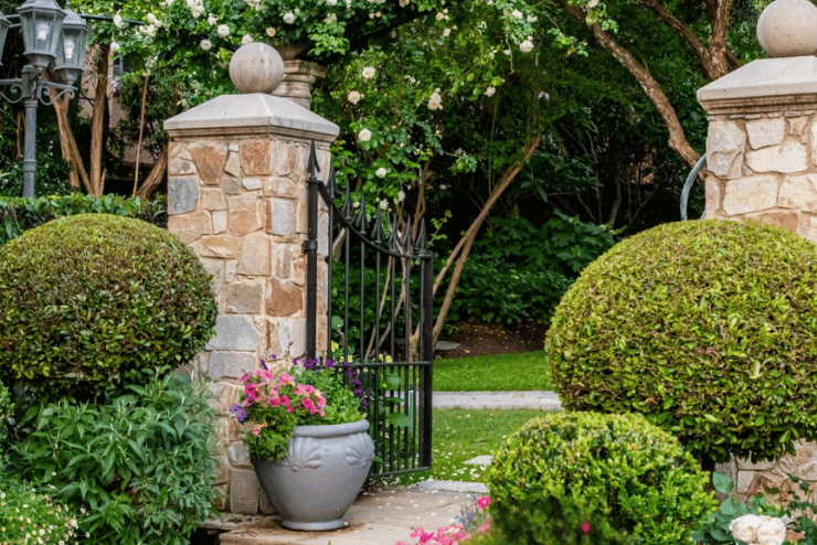Johannesburg Garden Club Open Garden