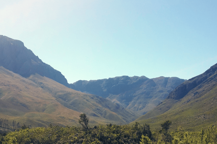 Jonkershoek Nature Reserve