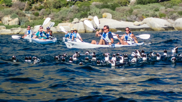 Kayak Cape Town