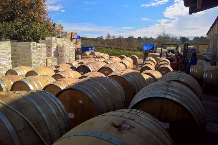 Kershaw Wines