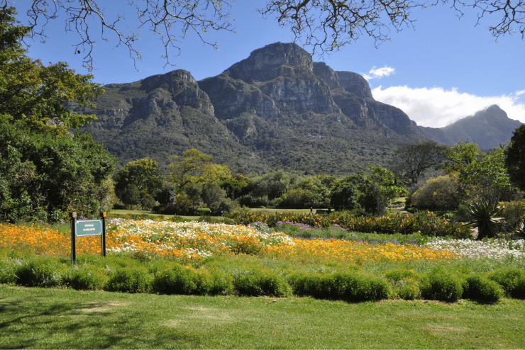 Kirstenbosch Botanical Gardens