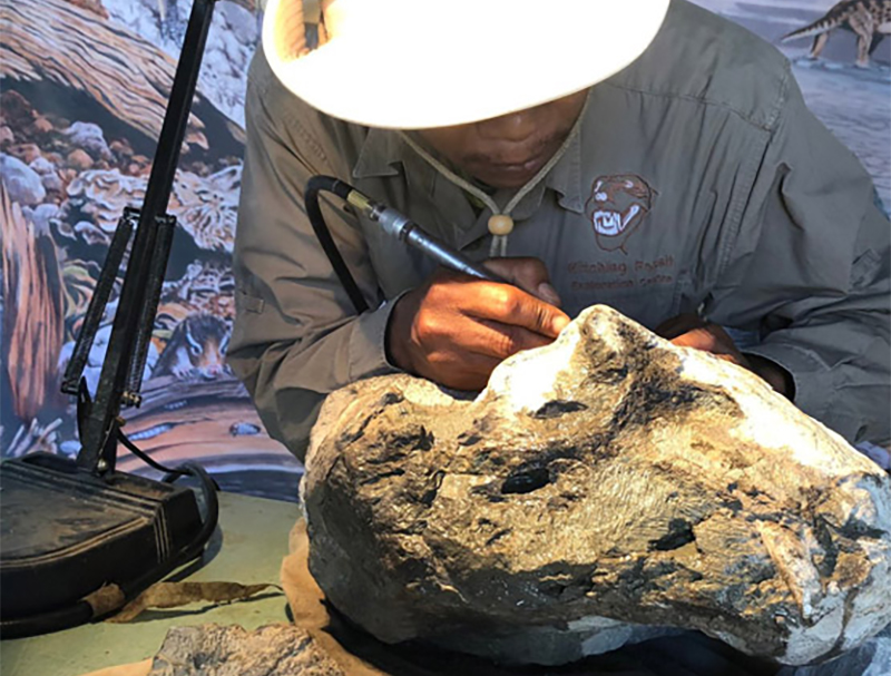 Kitching Fossil Exploration Centre