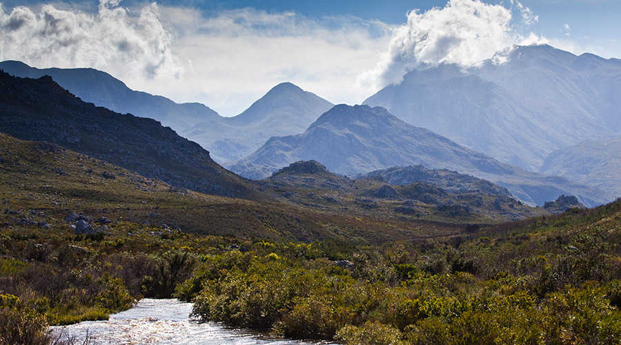 Kogelberg Nature Reserve