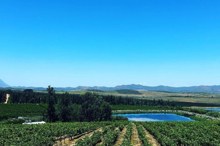 Kranskop Wine Estate