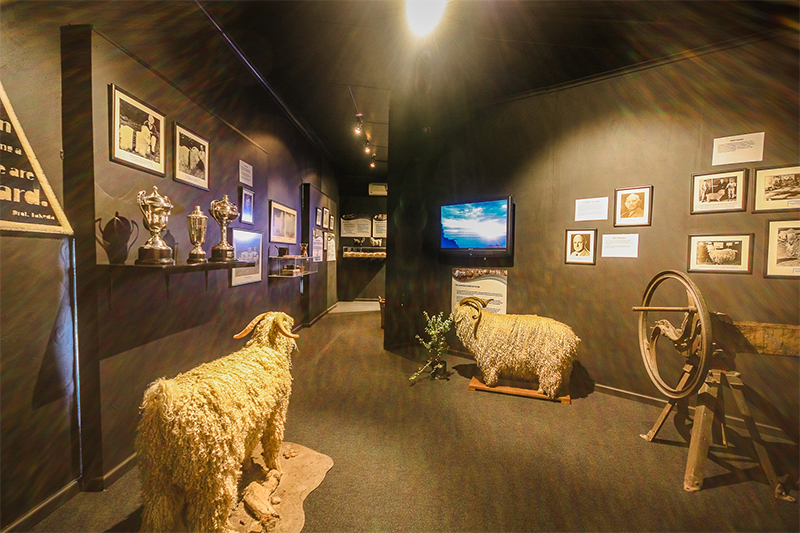 Mohair Experience Museum