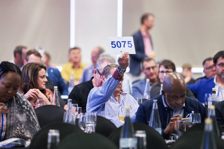 Cape Winemakers Guild Auction
