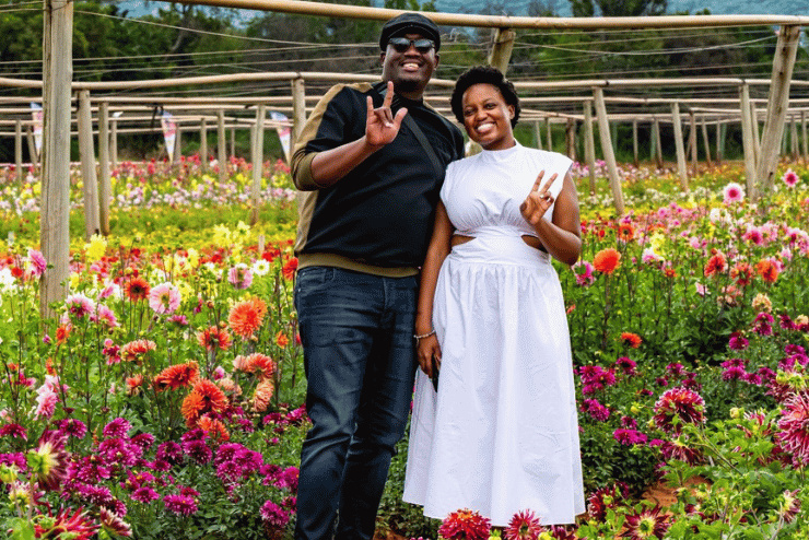 Petals with Purpose: Dahlia Festival
