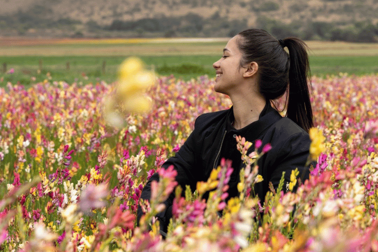 Petals with Purpose: Spring Festival