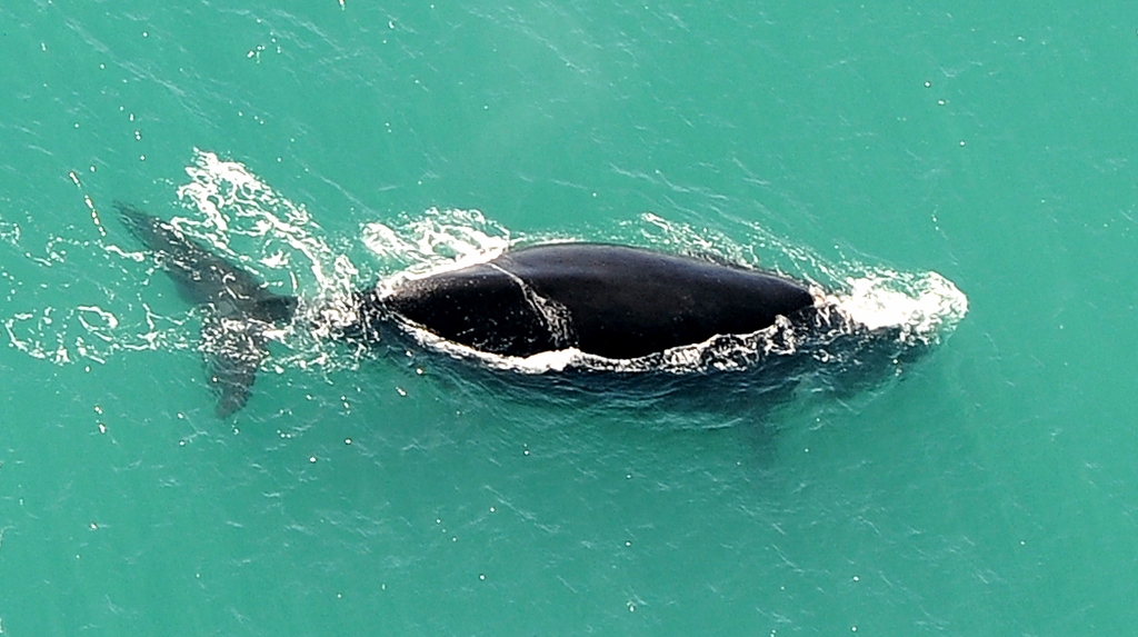 De Hoop Nature Reserve
