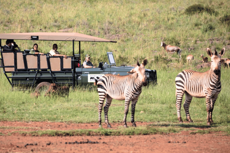 Rhino & Lion Reserve