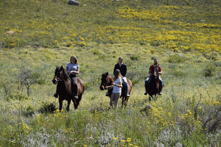 Robertson Horse Adventures