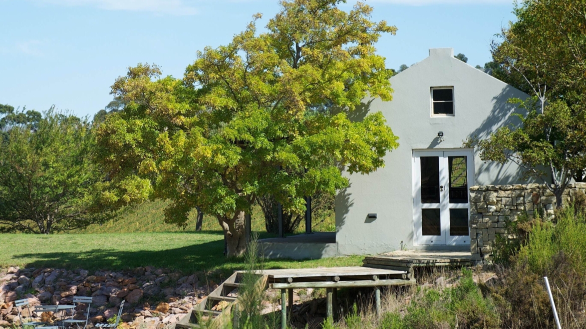 South Hill Vineyards
