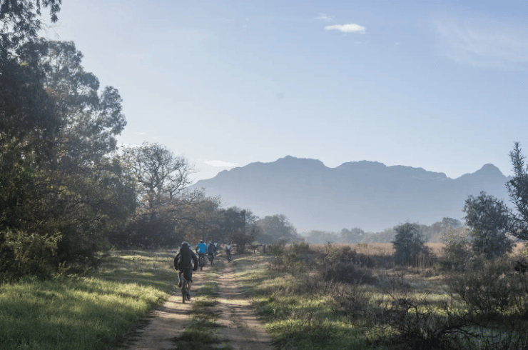 Spier Mountain Biking & Running Trails