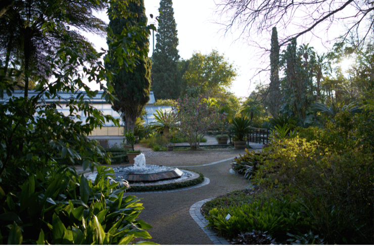 Stellenbosch Uni Botanical Gardens