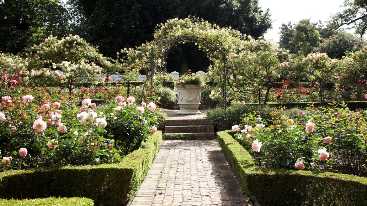 Cellars Hohenort Guided Garden Tour