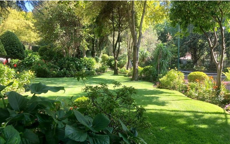 Summer Gardens 2024