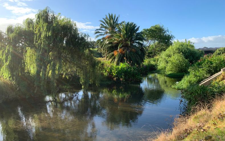 Liesbeek River Clean-up