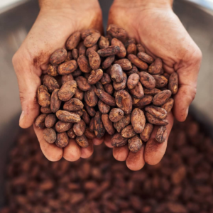 Virtual Chocolate Tastings