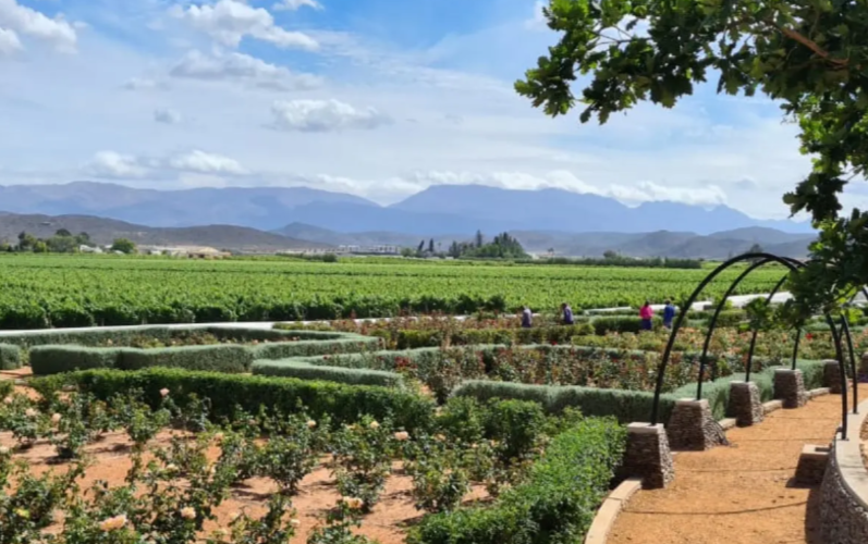 Weltevrede Wine Estate
