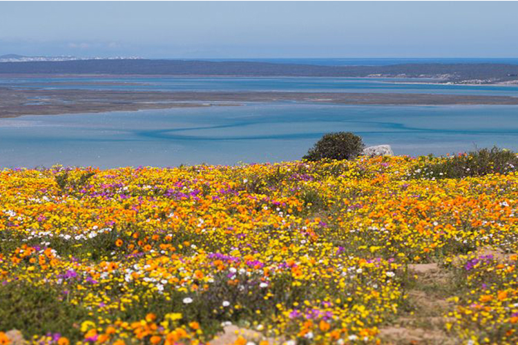 West Coast National Park