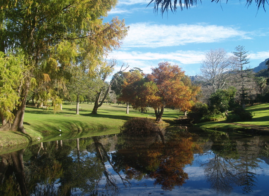Wynberg Park