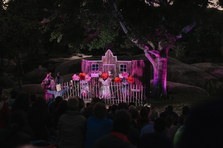 A Summer Dream at Spier