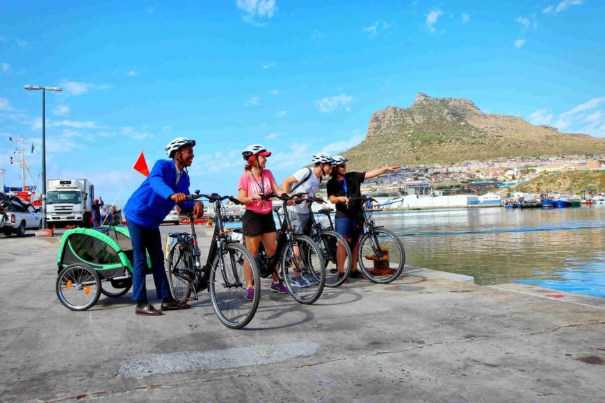 Cape Lion E-Bikes