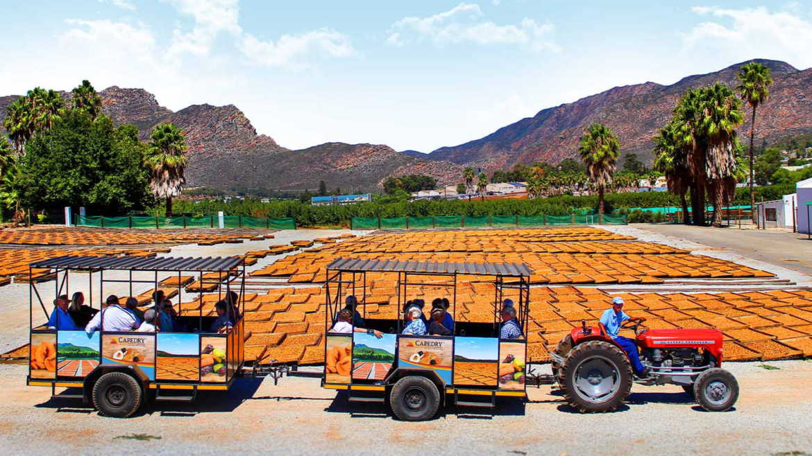 Capedry Montagu Farmstall