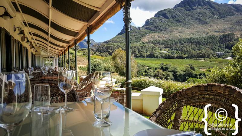 Constantia Glen