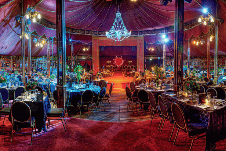 Royal Countess Zingara: La Dolce Royal