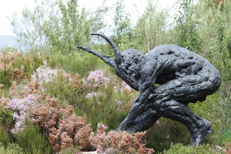 Dylan Lewis Sculpture Garden