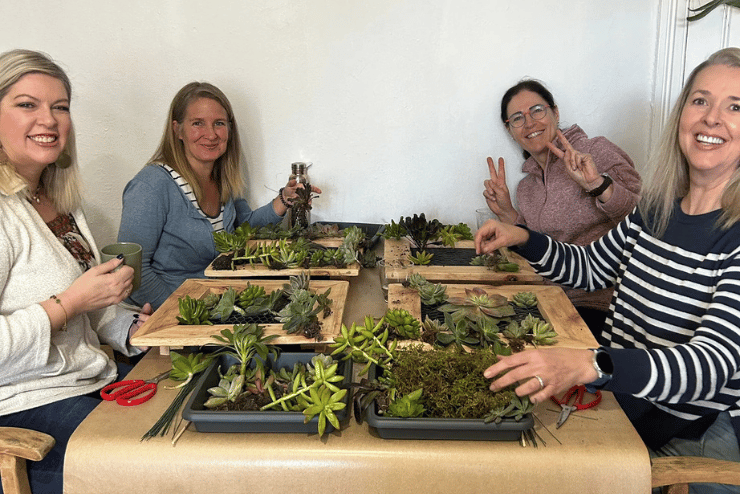 Elderflower Nursery Workshops