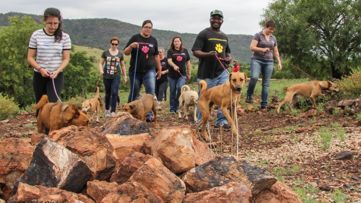Woodrock Animal Rescue