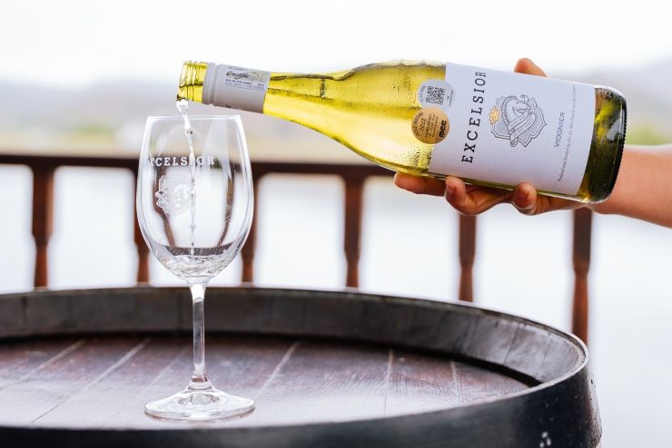 Excelsior Wine Estate Hands-On Harvest
