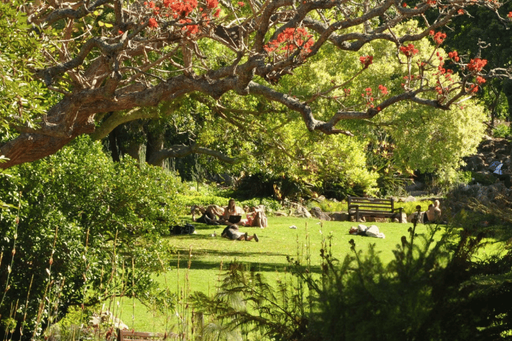 SANBI National Gardens Week